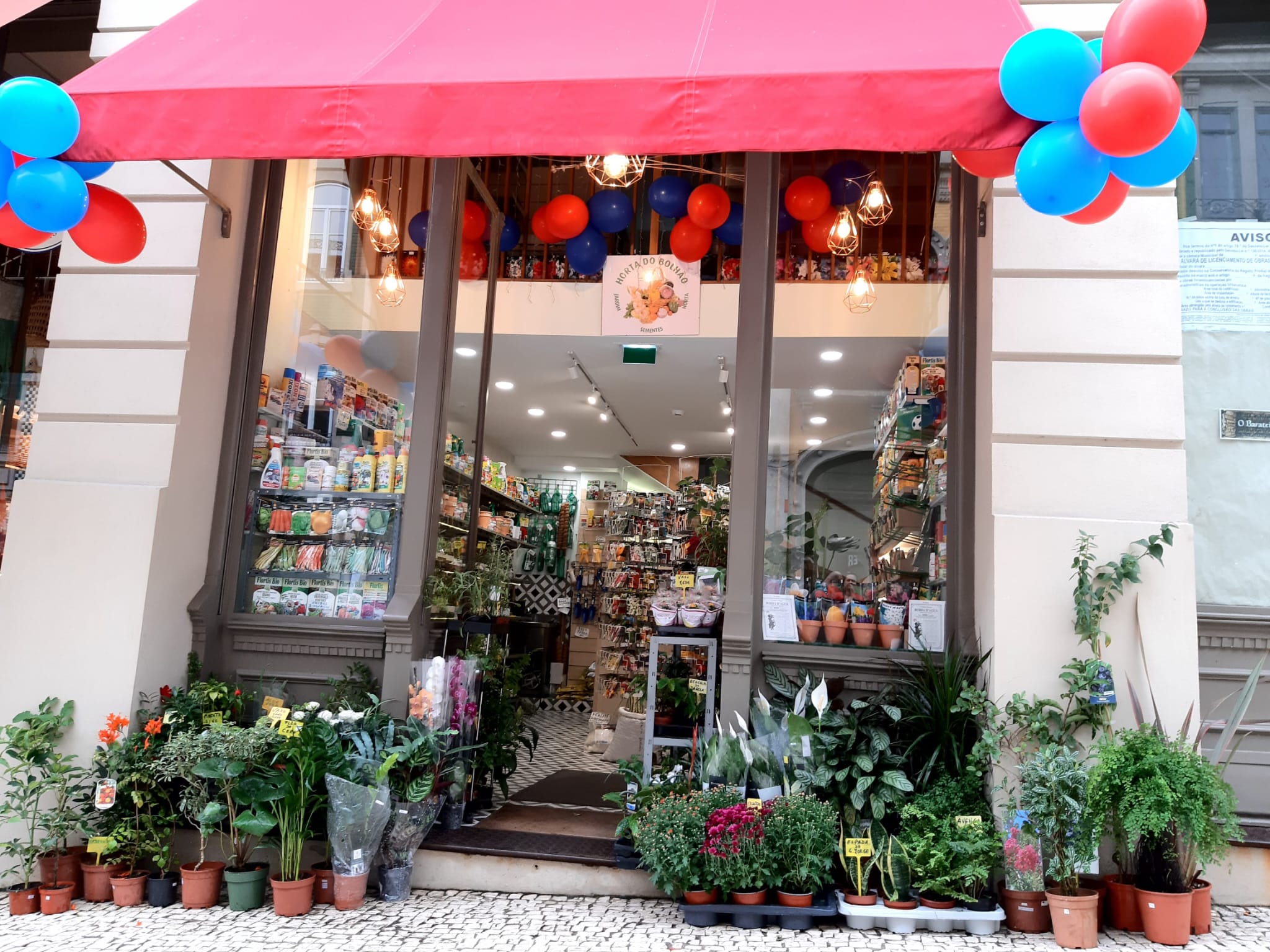 Horta do Bolhão - Slide 5